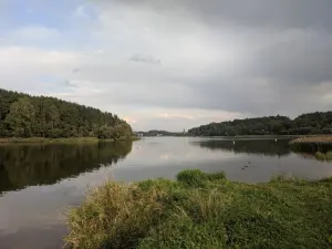 Волчковичское