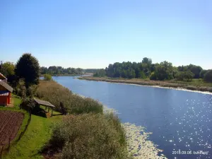 Бароды