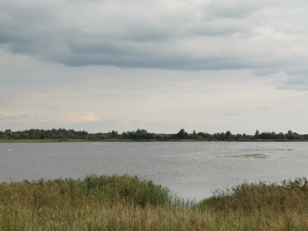 Белін-Восаўцы