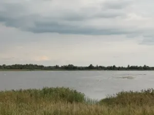 Белін-Восаўцы