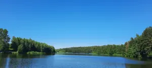 Чайка