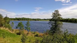 Абразцы