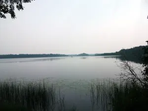 Вальковское