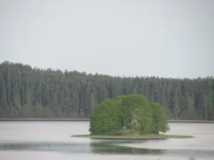 Матырино (озеро, Ушачский район)