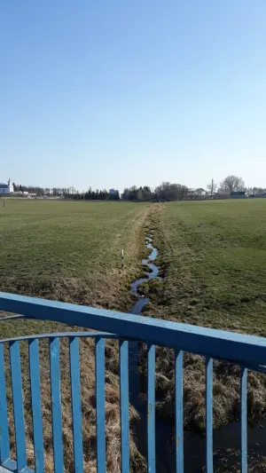 Сновка