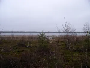 Сіняе