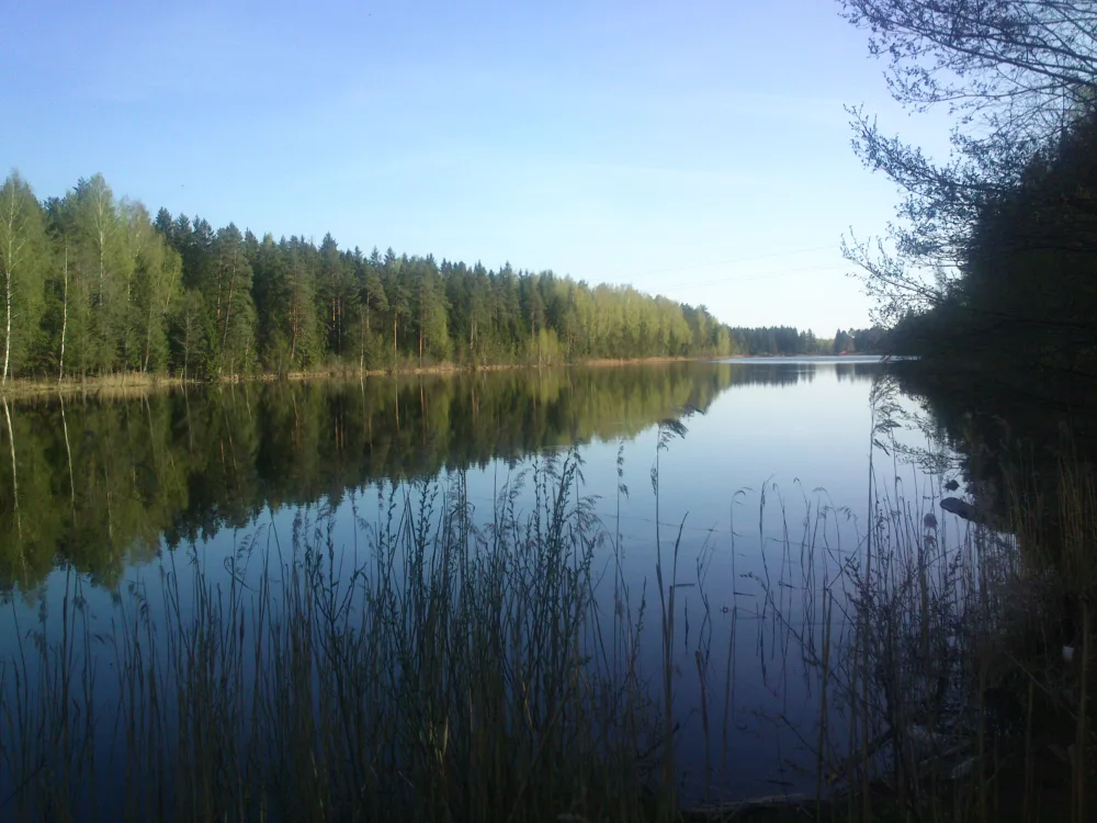 Бараўское