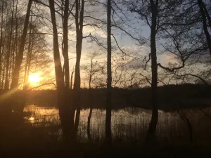 Озеро Чижовка