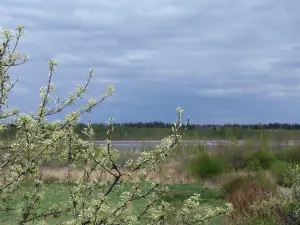 Бецкае