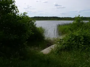Нёгро