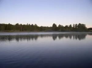 Вышедское