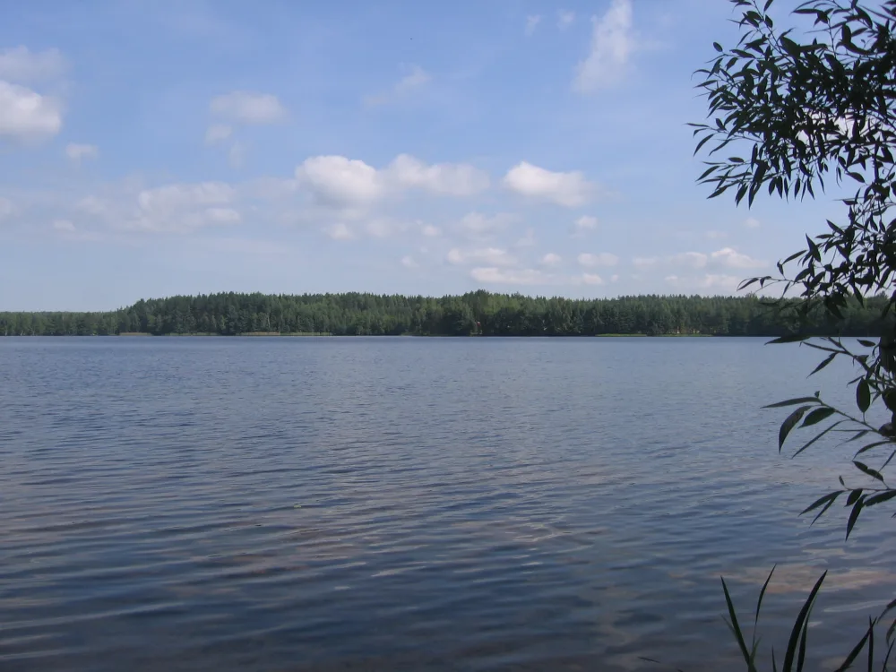 Кармановское