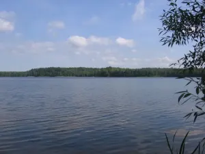 Кармановское