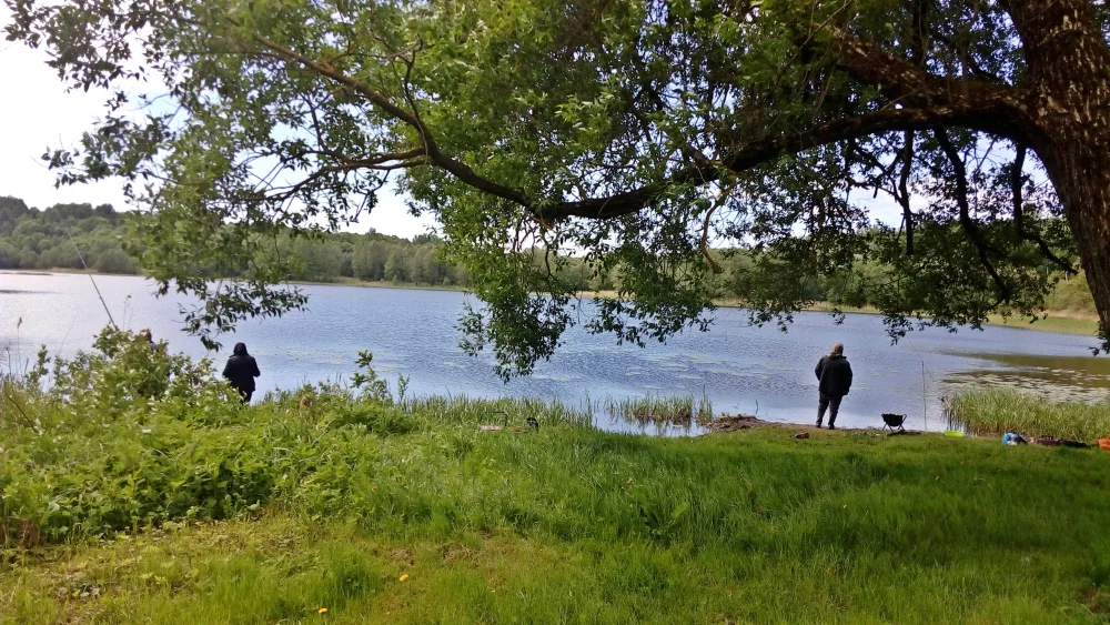 Липно
