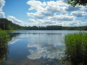 Леванова