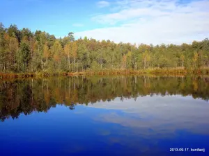 Захарнічы