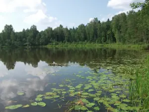 Глубокое
