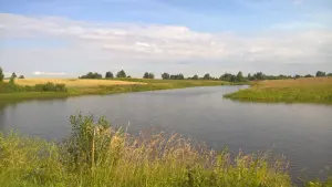 Негаўка