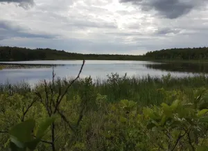 Блядко