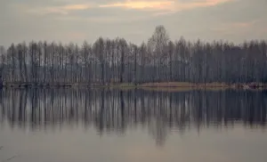 Белае