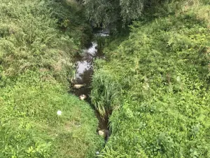 Зарніца