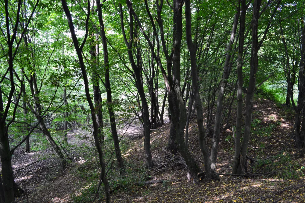 Лысковский замок