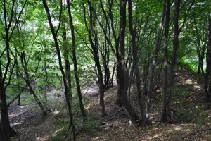 Лысковский замок
