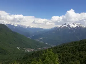 Царская поляна