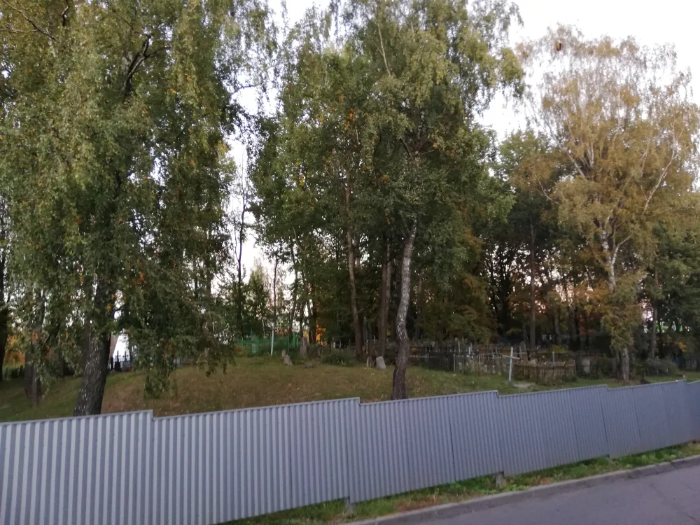 Брылеўскія могілкі