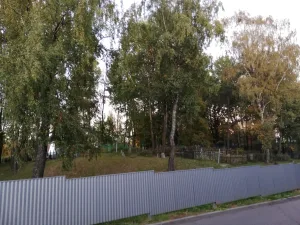 Брылеўскія могілкі