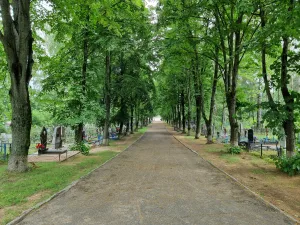 Старыя могілкі ў Барысаве