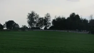 Азярыцкія могілкі