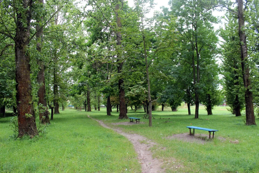 Сядзібна-паркавы комплекс Дабрынецкіх, Вельямовічы