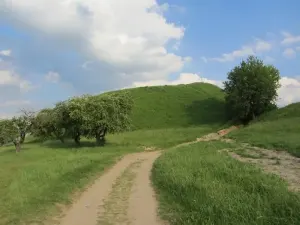 Шведская гора