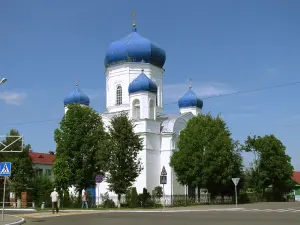 Спасо-Преображенская церковь (Шклов)