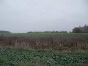 Кривлянский замок