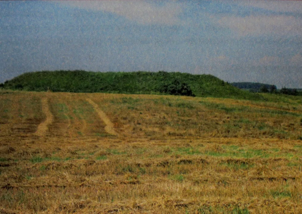 Замковище (Несвиж)