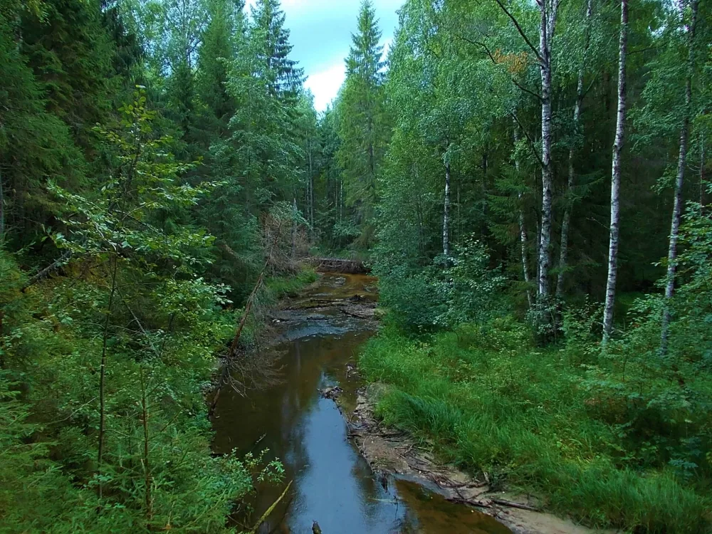 Кузьма