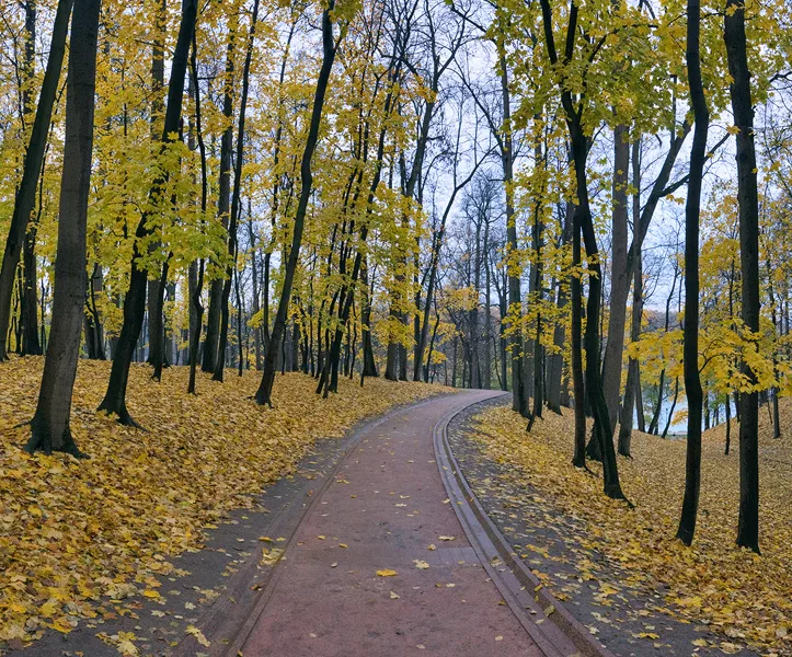 Парк Царицыно