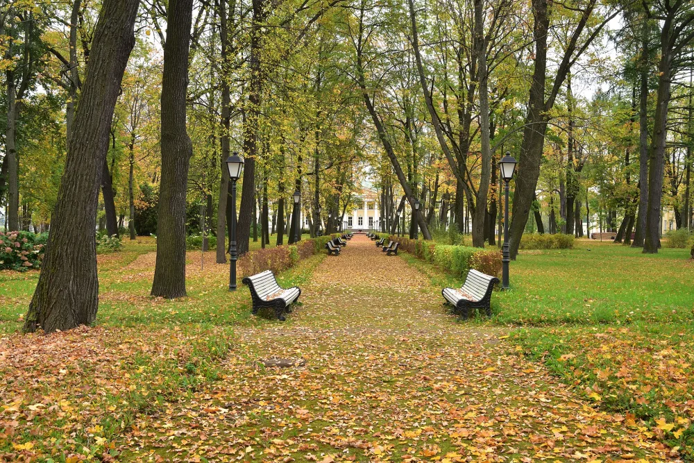 Парк