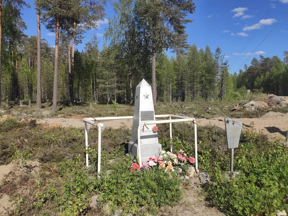 Могила неизвестного советского летчика (Муезерское г. п.)