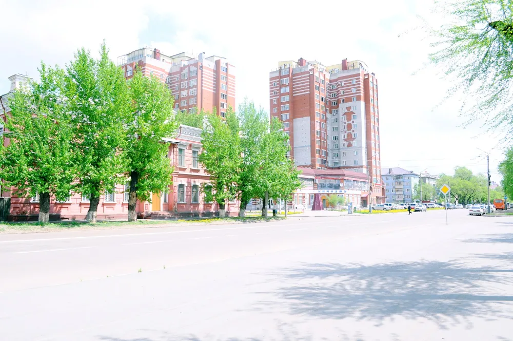 Улица Ленина 217