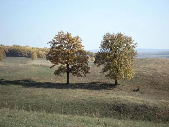 Ахмеровский могильник
