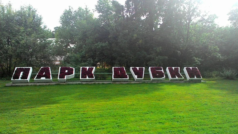 Дубки