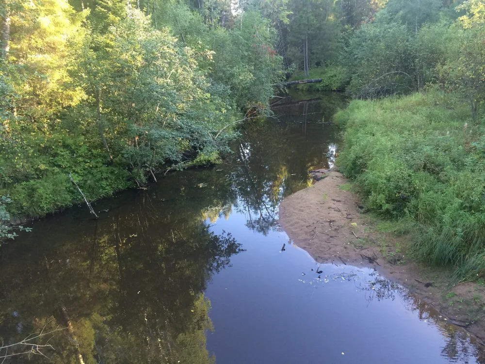Лейбушка