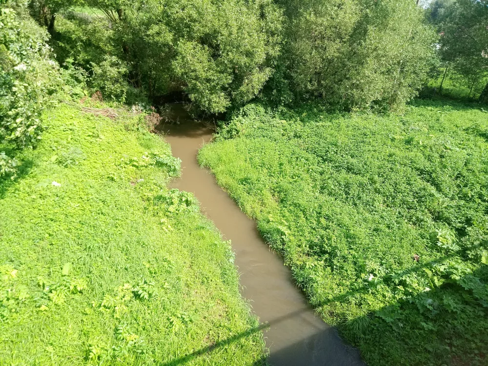 Большая Гвидка