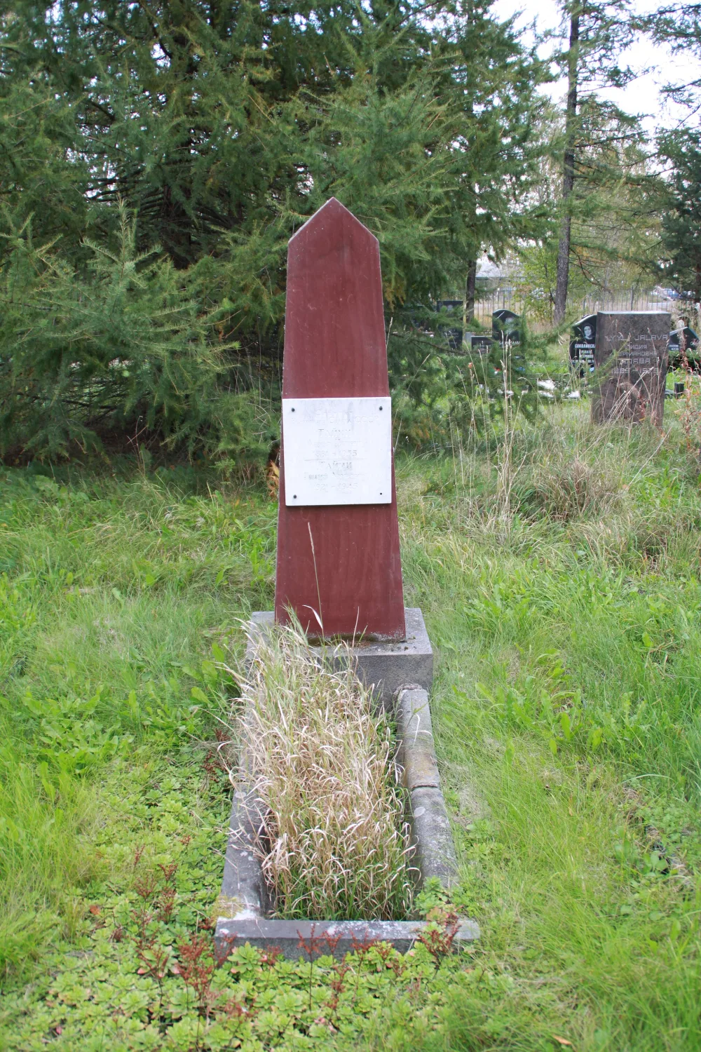 Могила Тайми А.П. (1881−1955), революционера-большевика (Петрозаводск)