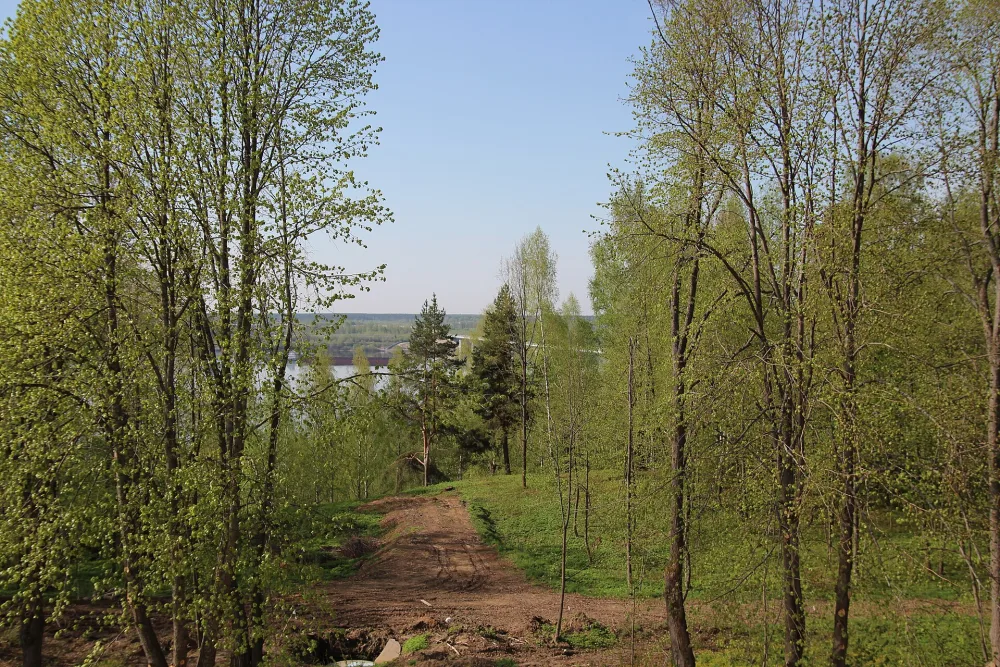Усадебный парк (Порозово)