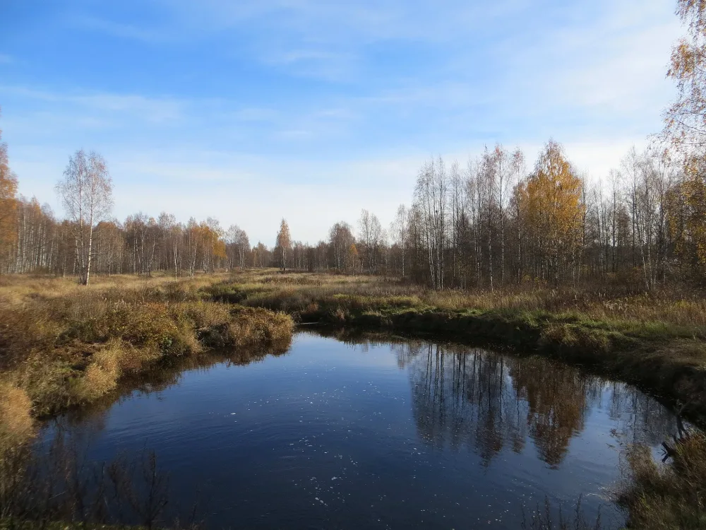 Лепсари