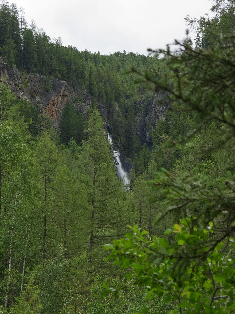 Текелю